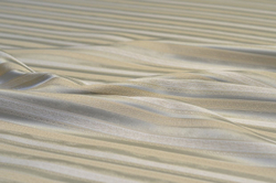 Жаккард Holli line (Холли лайн) 9284 9901