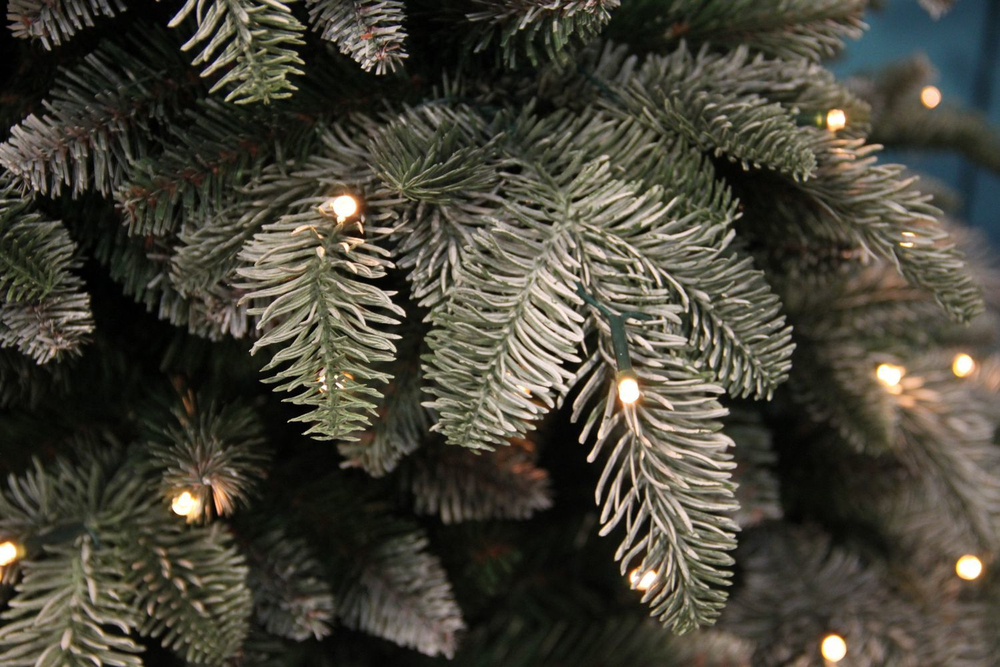 Ель Нормандия Пушистая 230см 376 ламп заснеженная Triumph Tree