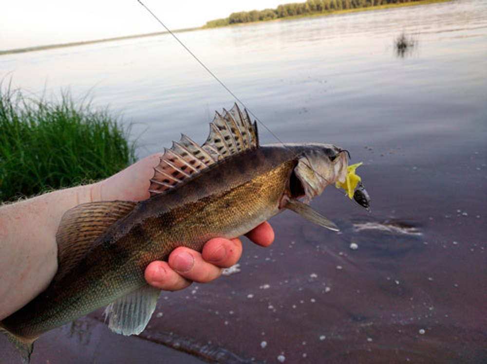 CrazyFly 70 мм - приманка Brown Perch (14 шт)