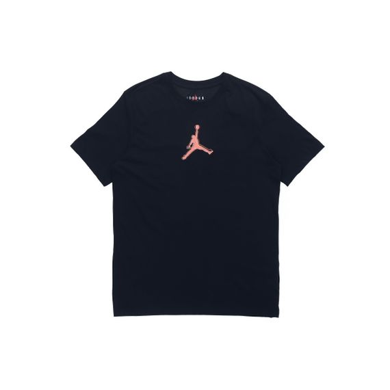 Jordan FW22 Logo T