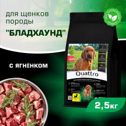 Корм сухой для щенков породы Бладхаунд, премиум полнорационный комплекс, с ягненком, 2,5 кг, QUATTRO
