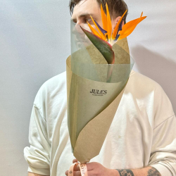 Стрелиция - райская птица. Экзотика с темпераментом