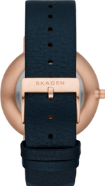 Женские наручные часы Skagen SKW2972