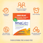 Boiron, SinusCalm®, Sinus Relief, без добавок, 60 таблеток Meltaway