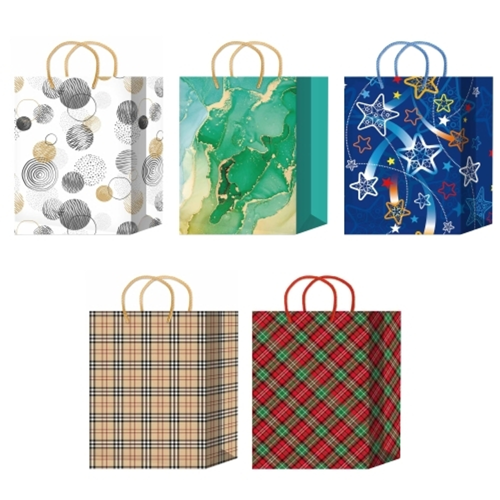 Пакеты подарочные 22х31+10 см, (10/50 шт)