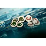 Настольная игра Кнорр