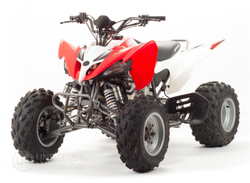 Квадроцикл Motoland 250S