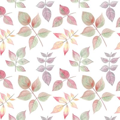 Листва осенних роз на белом