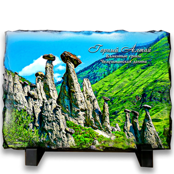 фотокамень 19*14 "Каменые грибы"