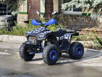 Lion 125 RR синий хаки