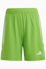 Шорты adidas Tiro 23 League Junior