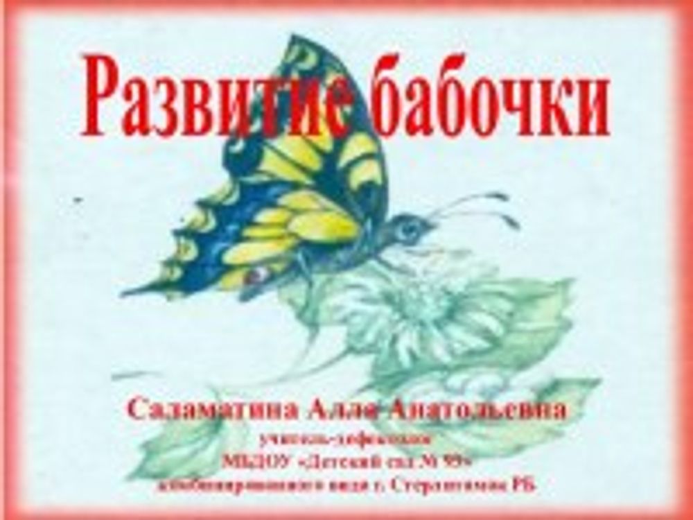 Коллекция Развитие бабочки в акриле — купить по ФГОС | Учебный стандарт