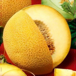 Дыня Медок 0,5г Русский вкус! Ц Гавриш