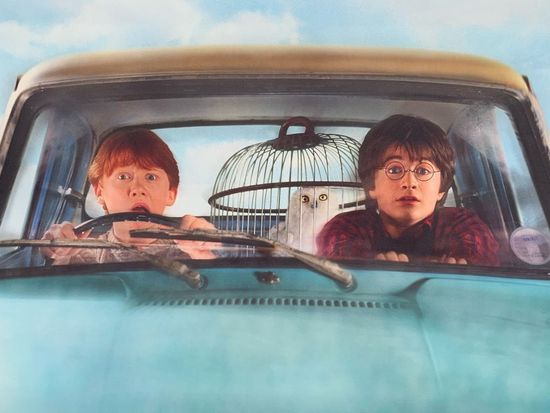 Картина на холсте Гарри Поттер