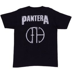 Футболка Pantera Skull & Snake