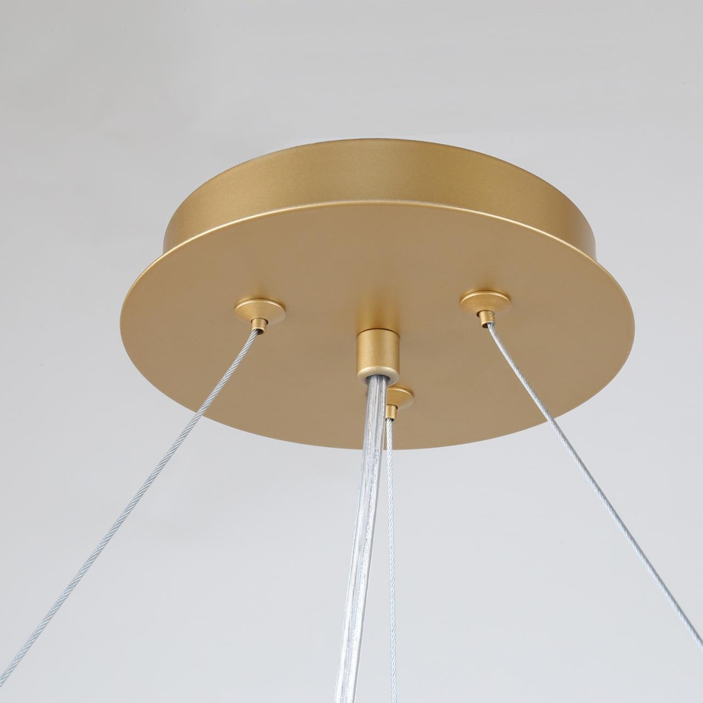 Подвесная люстра Favourite Ginkoa 4080-10P