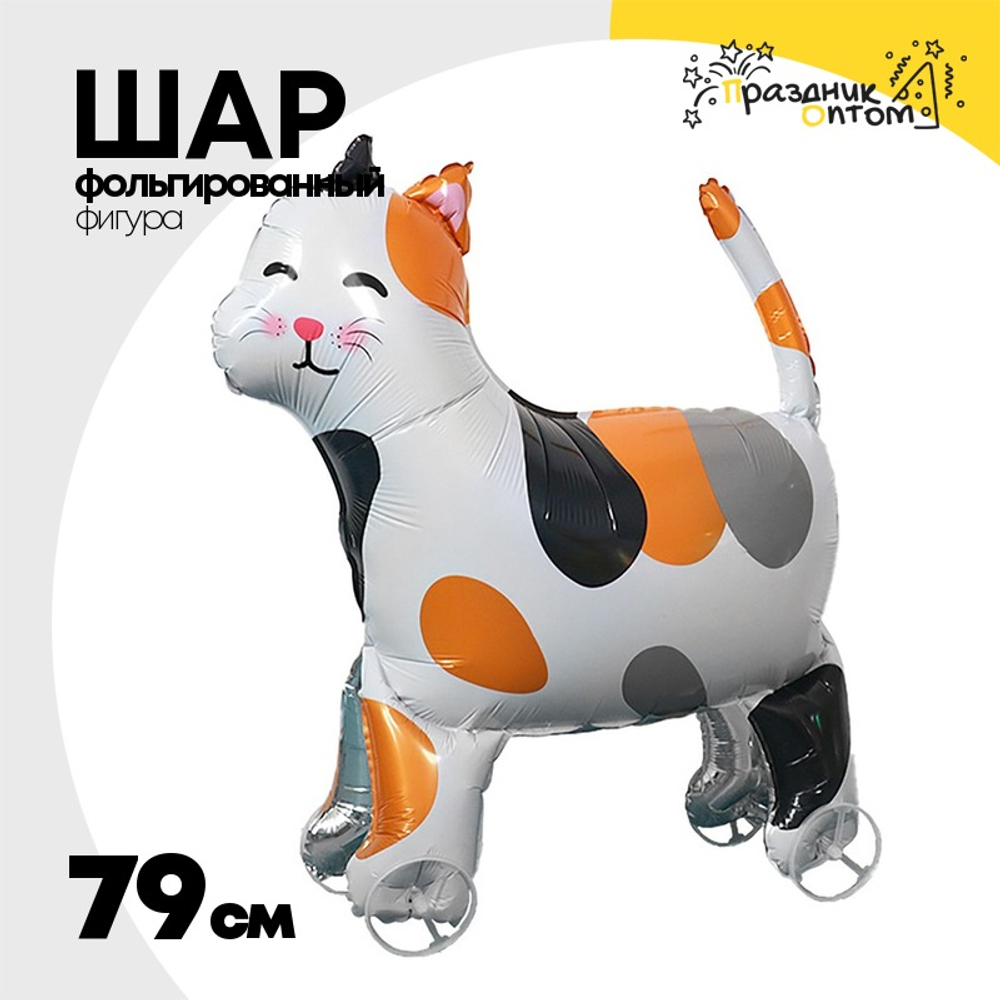 Шар Фольгированный Каталка Котик (Ассорти)