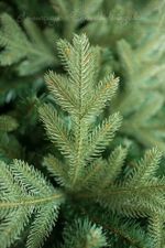 Елка с гирляндой «Валерио» (Литая+пвх) 210 см / 2,1 м