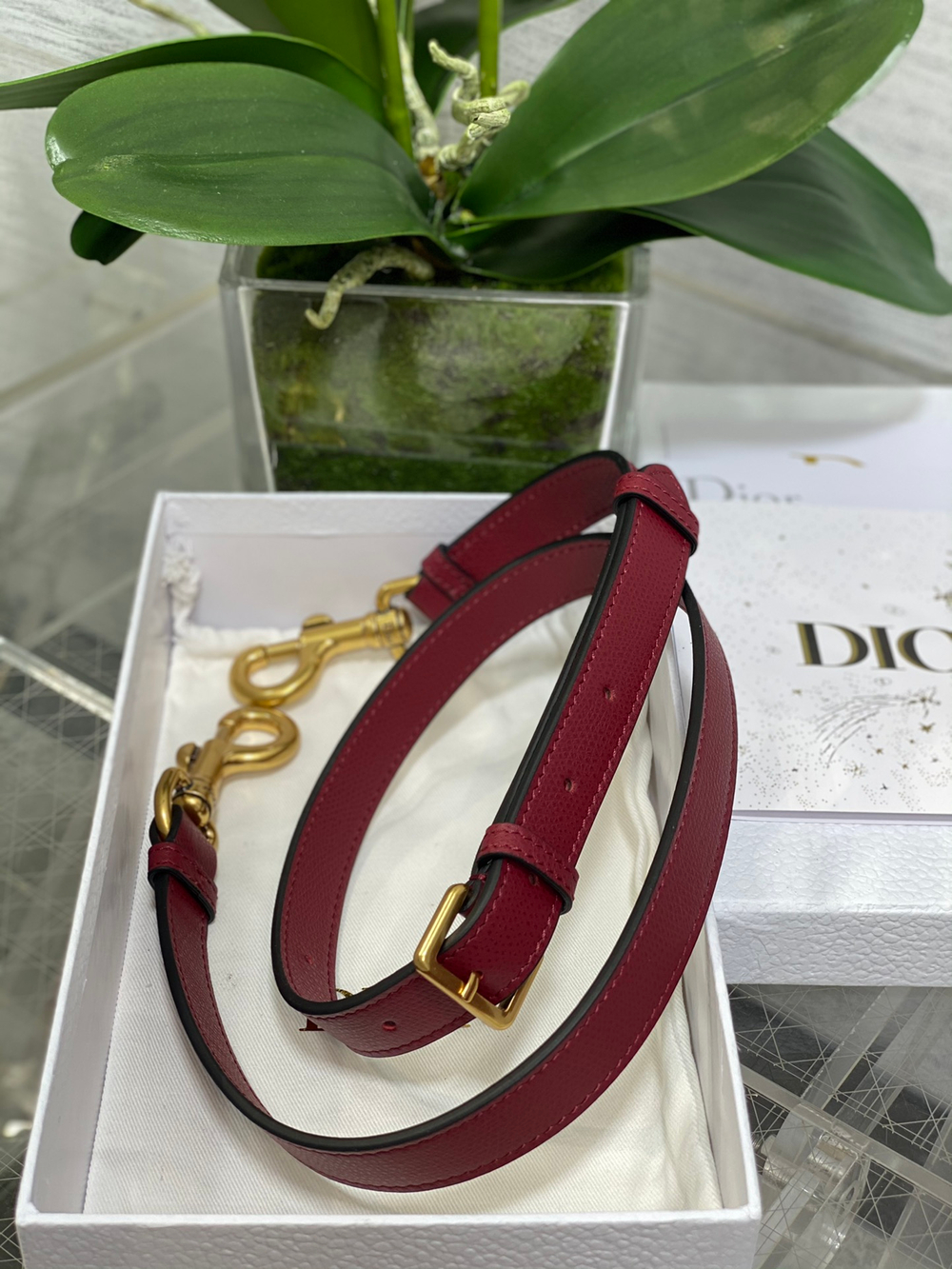 Christian Dior Saddle Bag with Strap