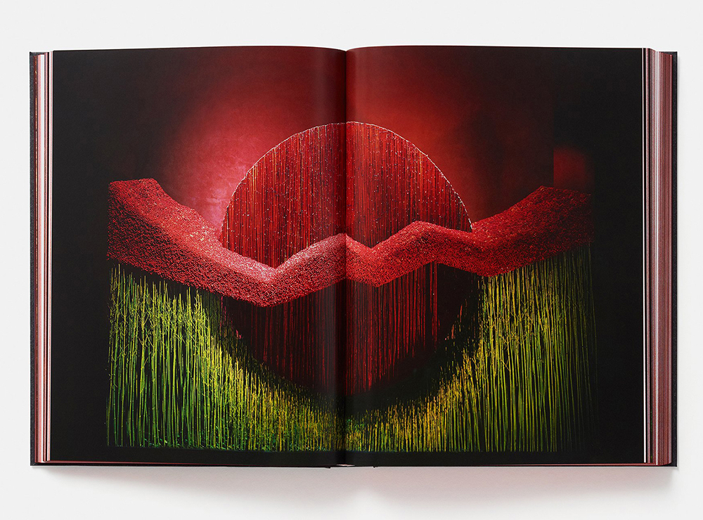 Daniel Ost: Floral Art and the Beauty of Impermanence