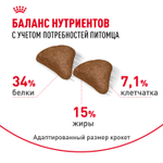 Royal Canin Hairball Care Хэйрболл Кэа Корм сухой для взрослых кошек профилактика образования волосяных комочков 400г