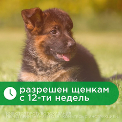 Капли для собак 4-10кг от клещей, блох и комаров Rolf 3D Club, Фипронил/D-цифенотрин/Пирипроксифен 3 пипетки