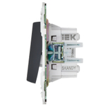 SKANDY Выключатель 2-клавишный перекрестный 10А SK-V06T титан IEK