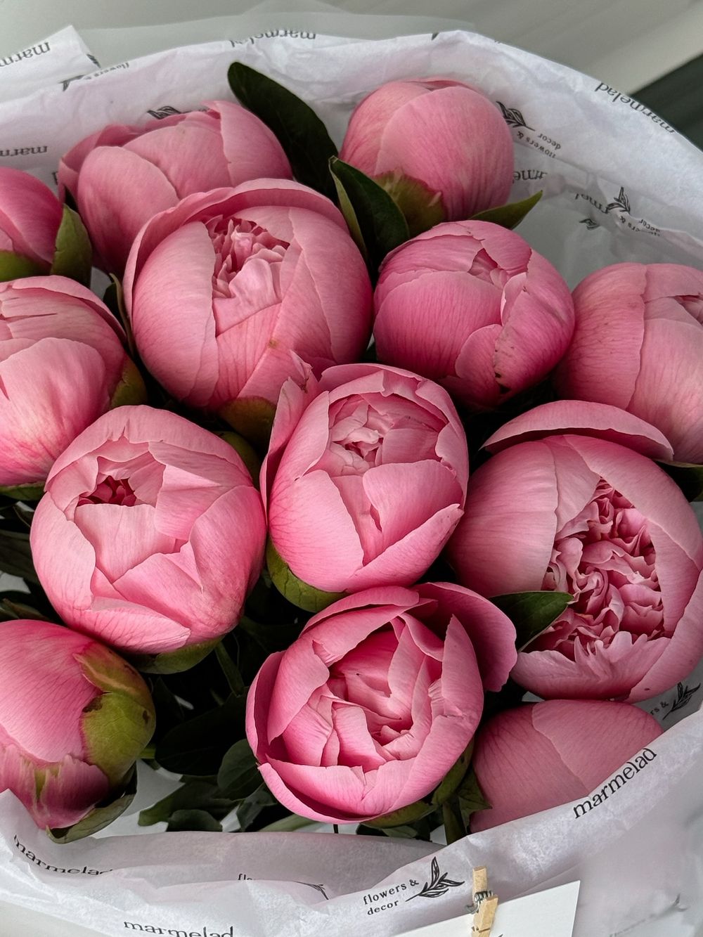 Букет моно из пионов сорта САЛМОН 15 шт