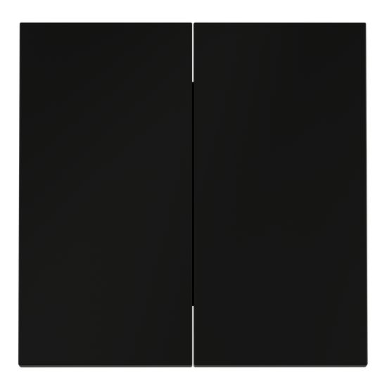 Клавиши для выключателя/переключателя двухклавишного, S70 (черный матовый)