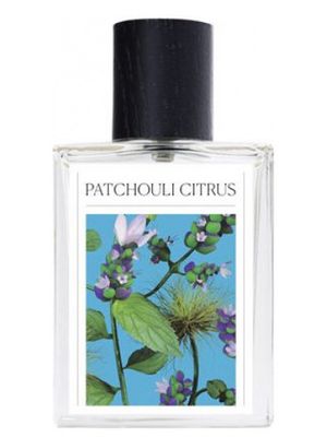 The 7 Virtues Patchouli Citrus