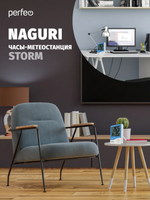 Метеостанция Perfeo PF-С3662 Storm Naguri PF-HTC-15