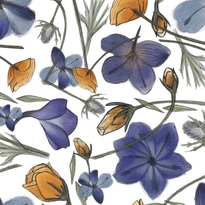 весенний гербарий цветов