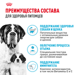 Royal Canin Giant Starter Mother & Babydog Джайнт Стартер Мазе энд Бебидог Корм для щенков гигантских пород в период первой фазы и отъема 15кг