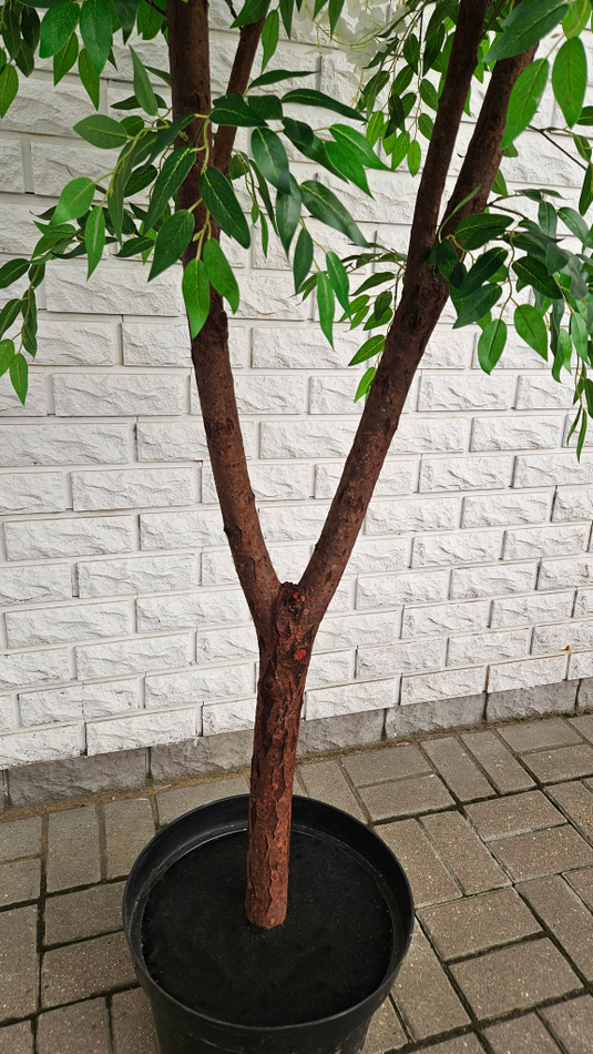 Искусственная Акация белая 240см в техническом кашпо