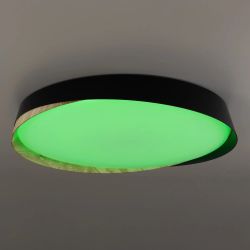 Citilux BONNY CL754451G LED RGB Светильник с пультом Чёрный + Клён