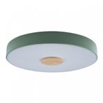 Потолочный светодиодный светильник Loft It Axel 10003/24 Green