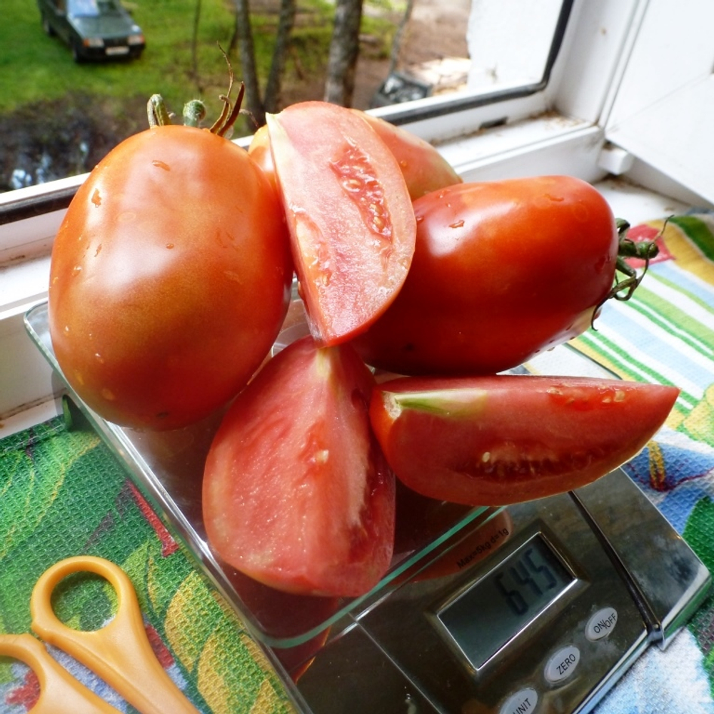 Помидоры Бочковой Засол