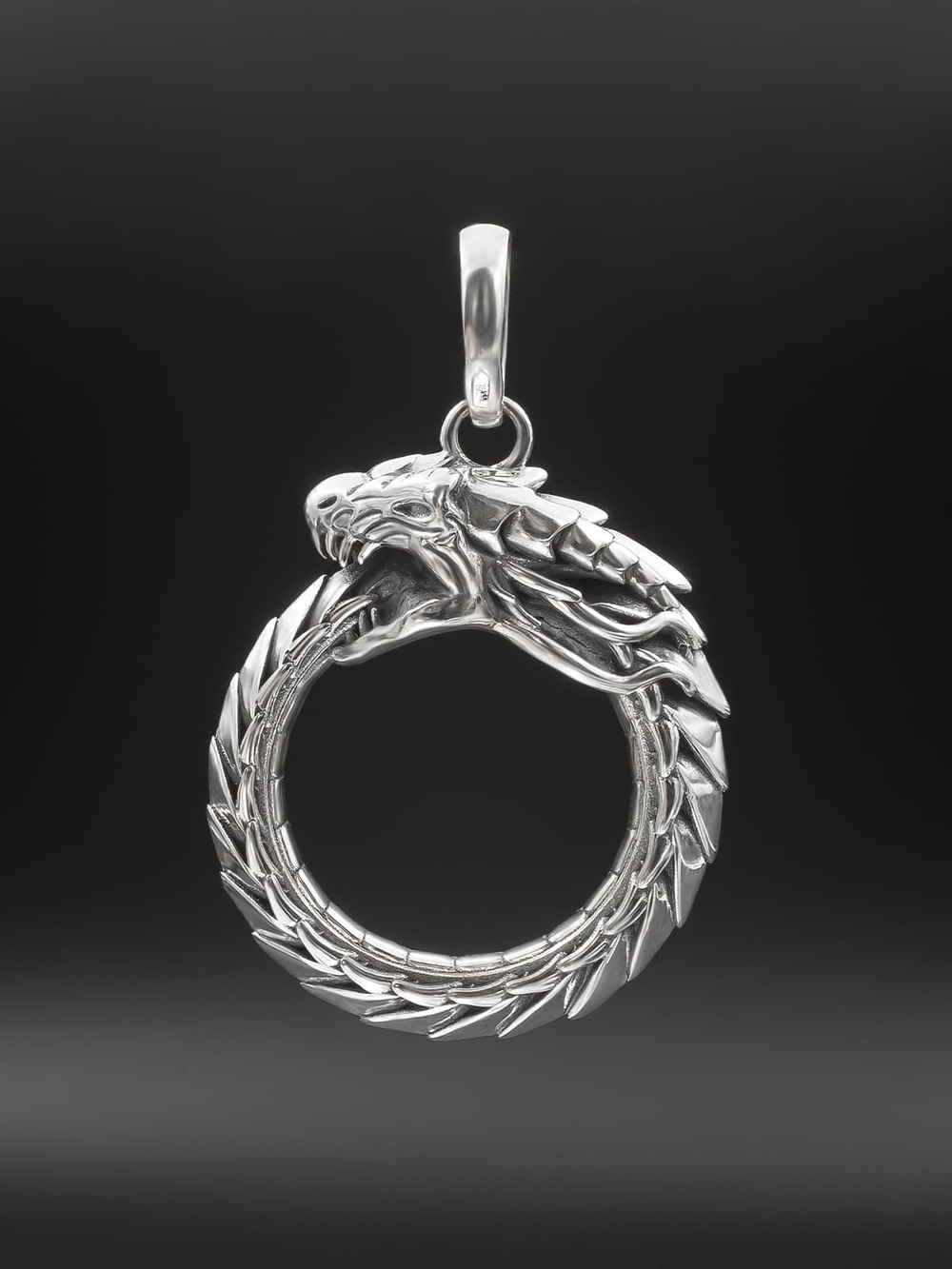 Картинка дракон уроборос на черном фоне.