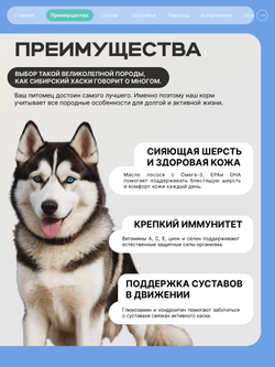 Корм сухой для собак породы Сибирский хаски, с кроликом, 12 кг, QUATTRO