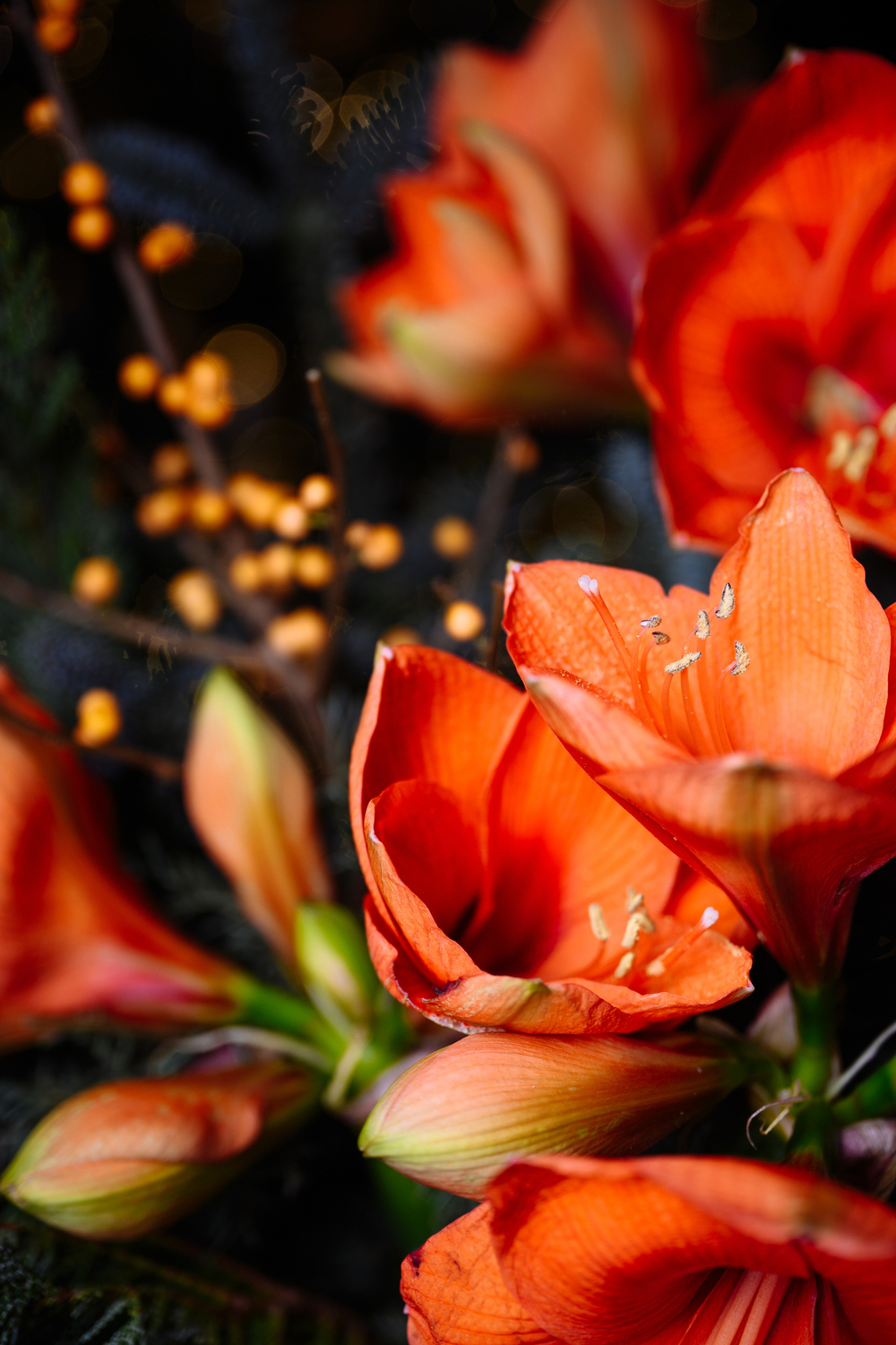 Букет бенгальские огни