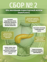 Сбор № 2 При заболевании поджелудочной железы (панкреатите)