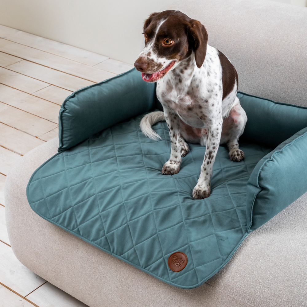 Диванный лежак из микровелюра, аквамарин 70х50 Rachel WOW