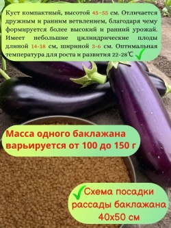 Семена Баклажан