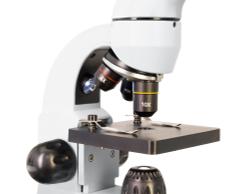 Микроскоп Levenhuk Rainbow 50L Moonstone\Лунный камень - фото 7