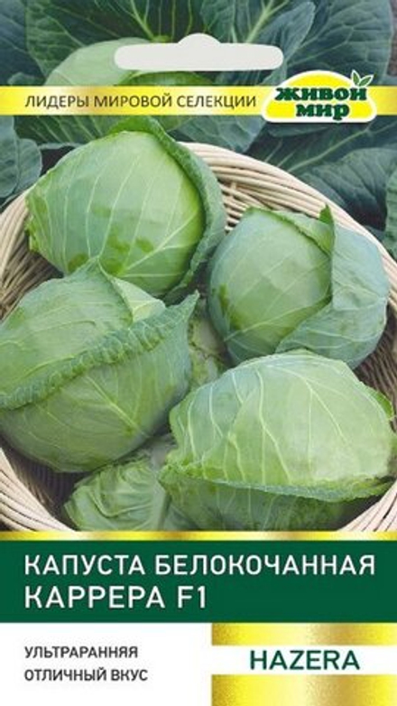 Капуста б/к "ЖМ. Kappepa F1" 10шт, Израиль.