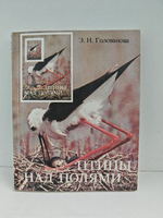 Птицы над полями