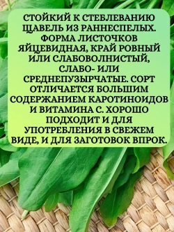 Семена Набор Щавель 3 шт