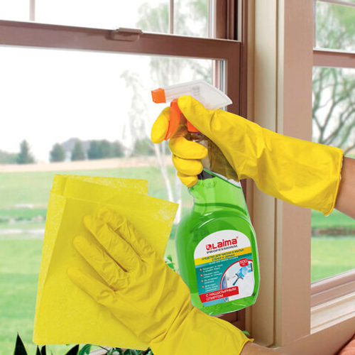 Средство для мытья стекол и зеркал с нашатырным спиртом 500 мл, LAIMA PROFESSIONAL, распылитель