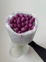 Букет из 25 фиолетовых тюльпанов