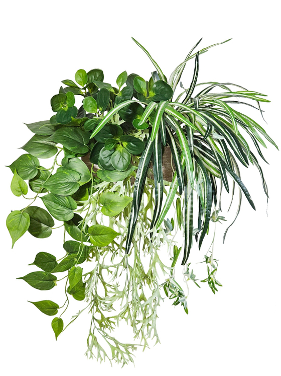 Искусственная зелень с хлорофитумом в деревянном настенном кашпо